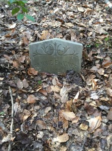 This is how we found Fannie's grave when we arrived.